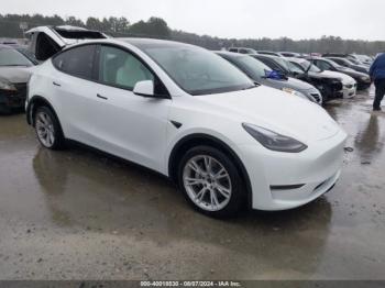  Salvage Tesla Model Y