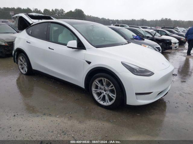  Salvage Tesla Model Y