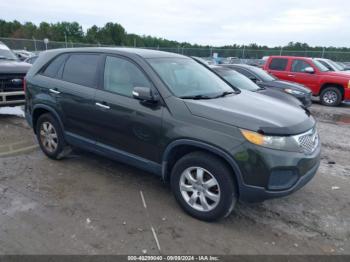  Salvage Kia Sorento