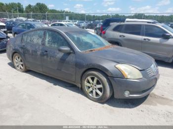  Salvage Nissan Maxima