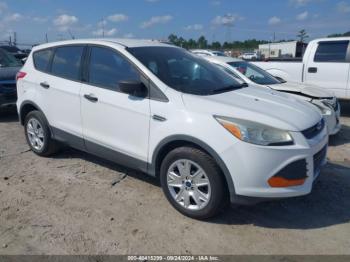  Salvage Ford Escape