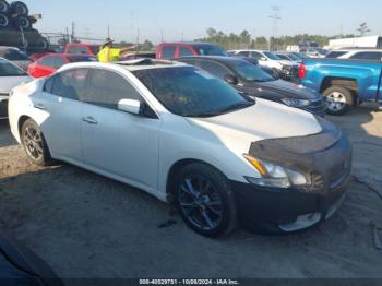  Salvage Nissan Maxima