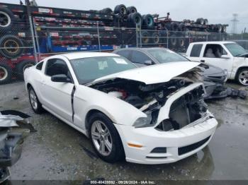  Salvage Ford Mustang