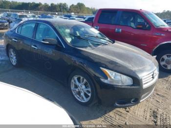  Salvage Nissan Maxima