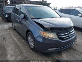  Salvage Honda Odyssey