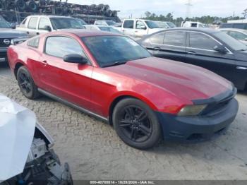  Salvage Ford Mustang