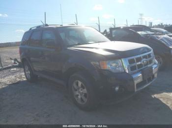  Salvage Ford Escape