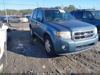  Salvage Ford Escape