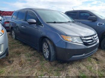  Salvage Honda Odyssey