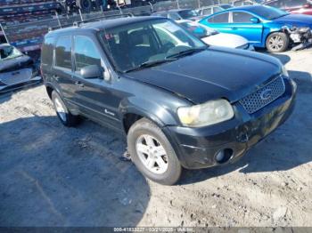  Salvage Ford Escape