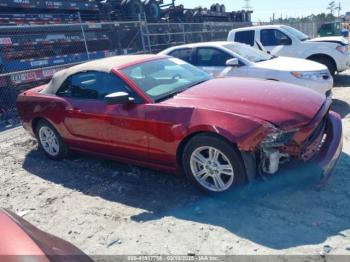  Salvage Ford Mustang