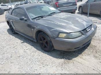  Salvage Ford Mustang