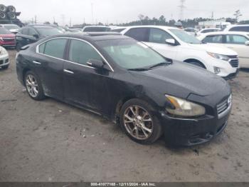  Salvage Nissan Maxima