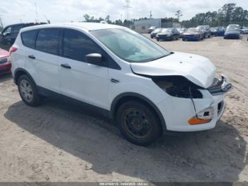  Salvage Ford Escape