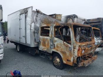  Salvage Isuzu Nqr