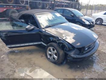  Salvage Ford Mustang