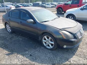  Salvage Nissan Maxima