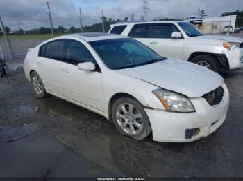  Salvage Nissan Maxima