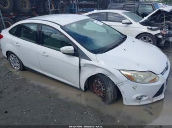  Salvage Ford Focus