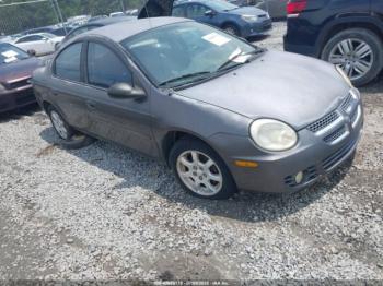  Salvage Dodge Neon