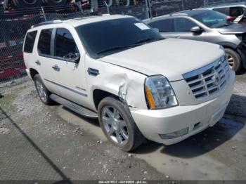  Salvage Cadillac Escalade