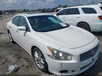  Salvage Nissan Maxima