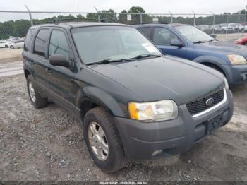  Salvage Ford Escape