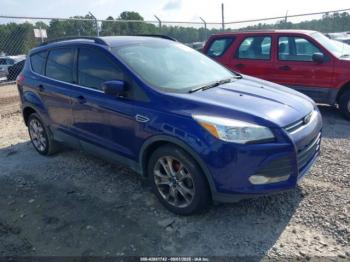  Salvage Ford Escape