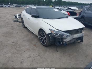  Salvage Nissan Maxima