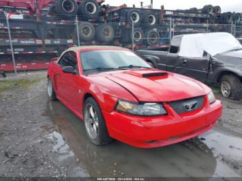  Salvage Ford Mustang
