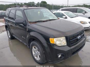  Salvage Ford Escape