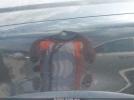 Ford Explorer Xlt Image 4