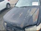 Honda Accord 3.0 Ex Image 6