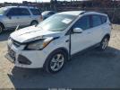 Ford Escape Se Image 6