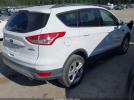 Ford Escape Se Image 10