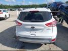 Ford Escape Se Image 16
