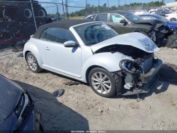  Salvage Volkswagen Beetle