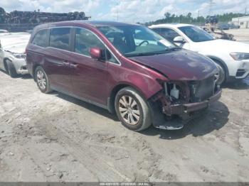  Salvage Honda Odyssey