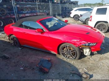  Salvage Ford Mustang