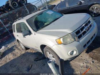  Salvage Ford Escape