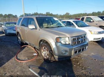  Salvage Ford Escape