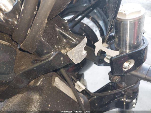 Indian Motorcycle Co Scout Rogue Abs Image 11